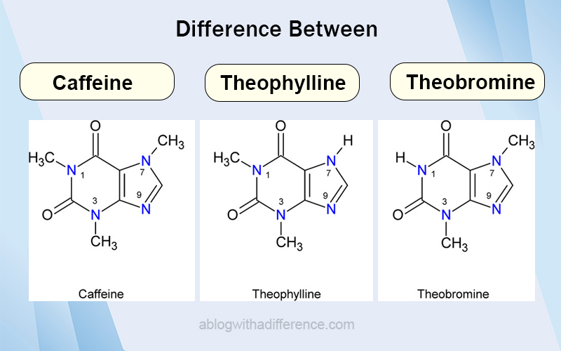 Difference Between Caffeine Theobromine and Theophylline