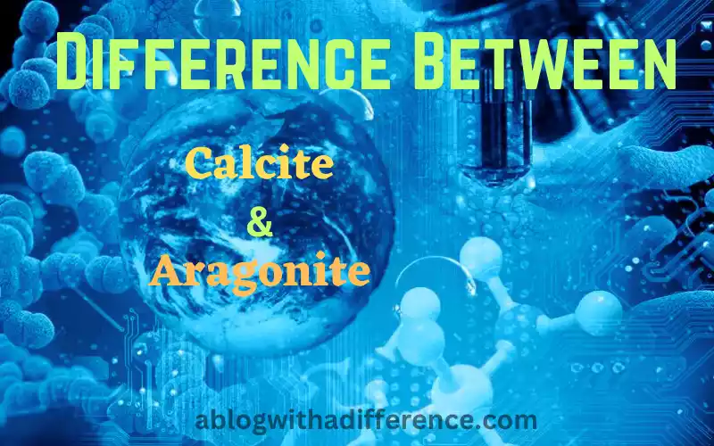 Calcite and Aragonite 7 amazing difference you must know