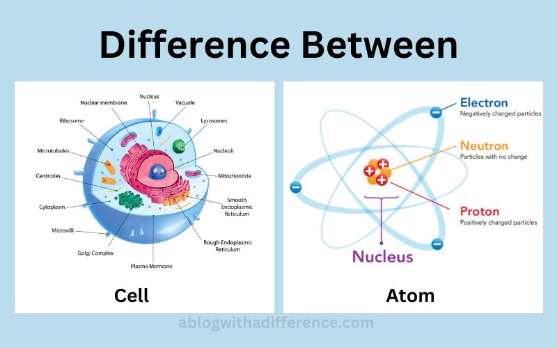 Difference Between Cell and Atom