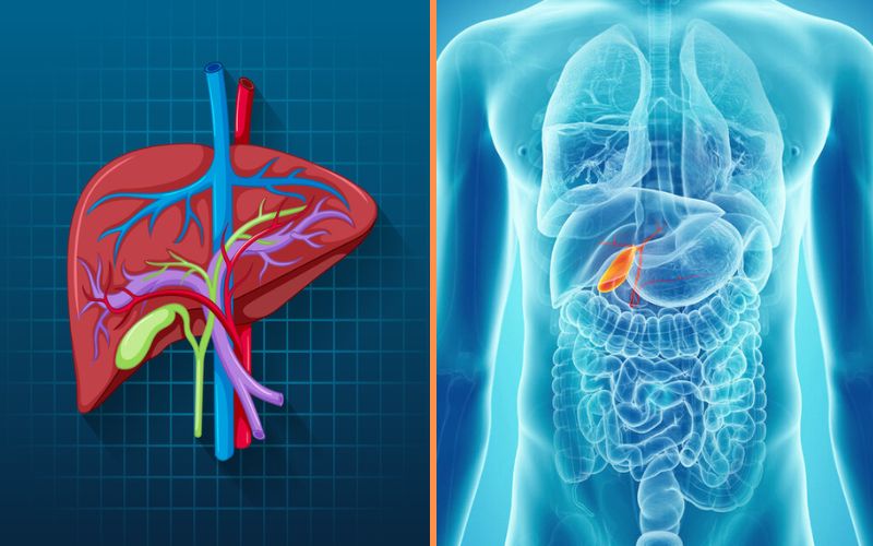 8 Best Difference Between Cholangitis and Cholecystitis