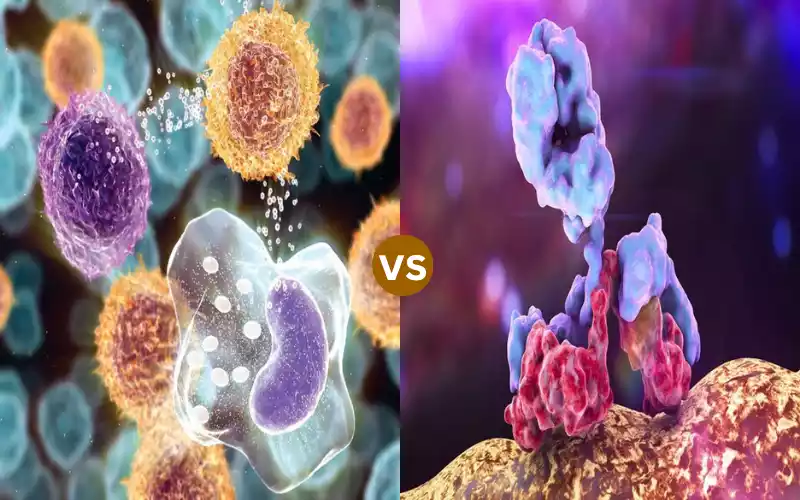 7 Amazing thing about Cytokines and Interferons