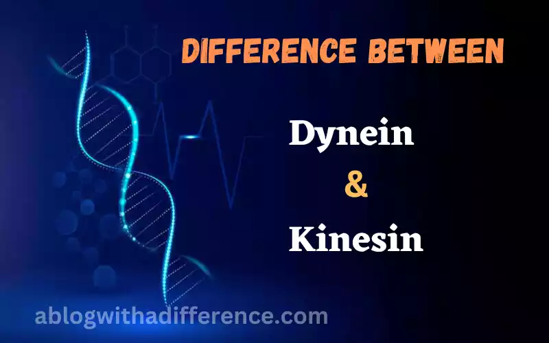 Dynein and Kinesin 9 odd difference don’t you know