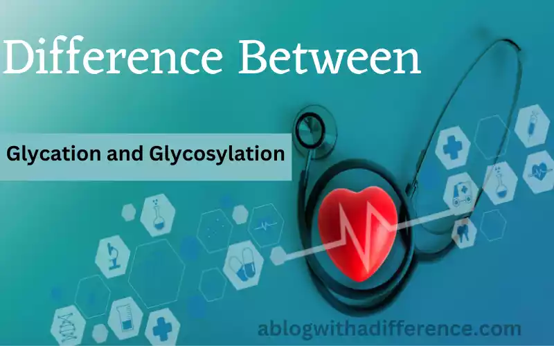 Glycation and Glycosylation 12 amazing difference you should know