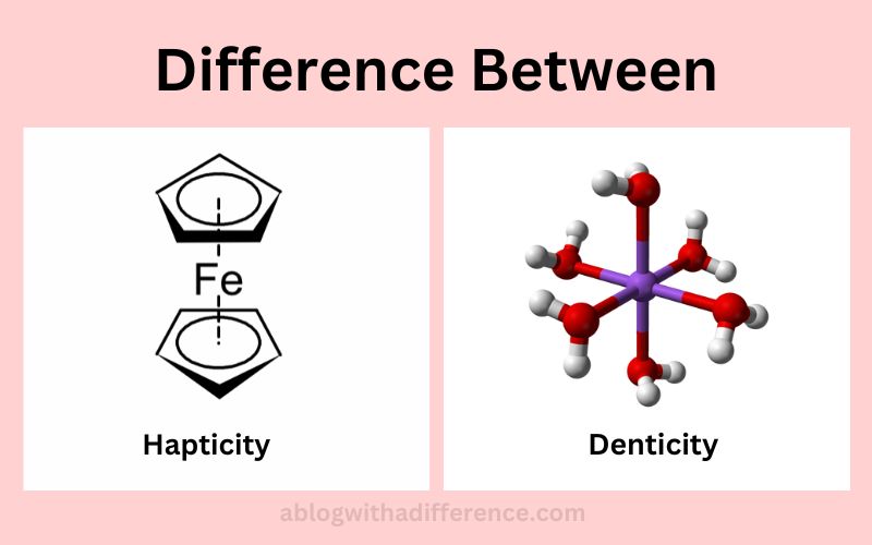 Difference Between Hapticity and Denticity