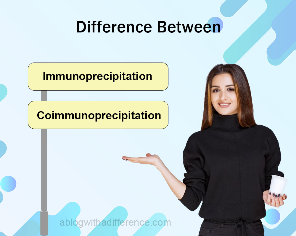 Difference Between Immunoprecipitation and Coimmunoprecipitation