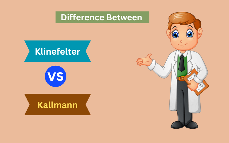 Klinefelter and Kallmann Syndrome – 9 Best difference