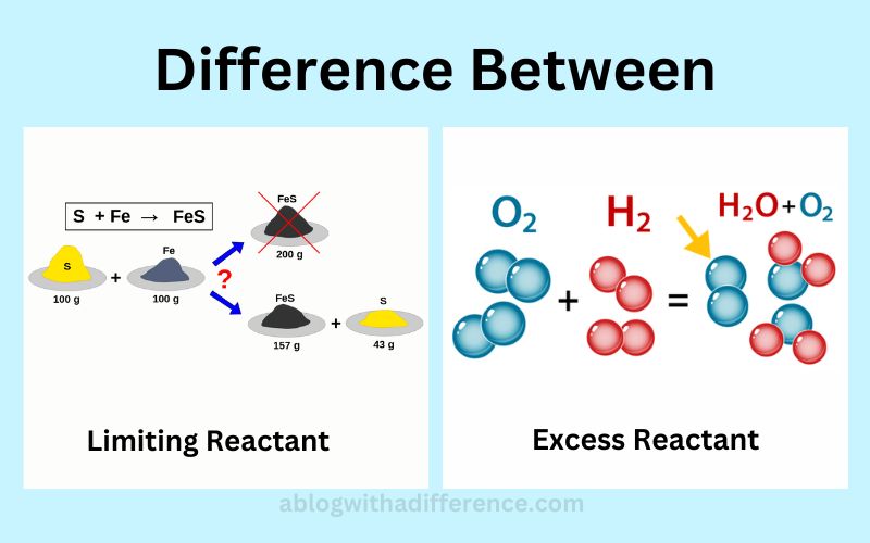 Limiting Reactant and Excess Reactant 6 clear difference