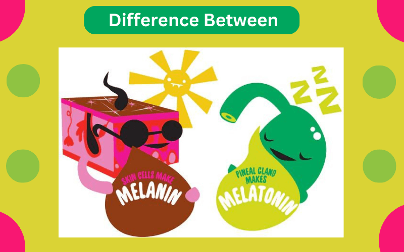 Uncovering the Top 10 Difference Between Melanin and Melatonin