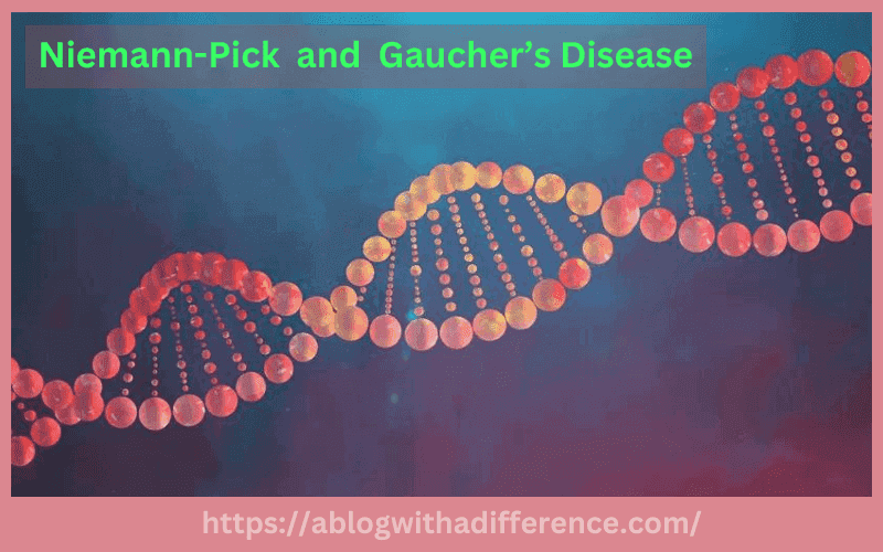 Difference Between Niemann Pick Disease and Gaucher’s Disease