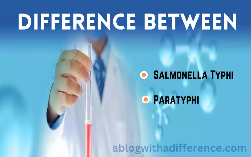 Salmonella Typhi and Paratyphi 9 solid and best difference you should know