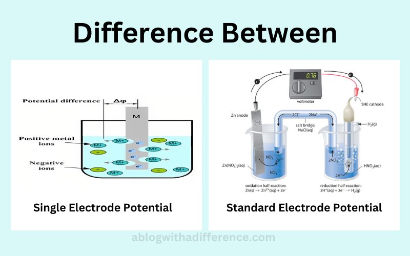 Difference Between Single Electrode Potential and Standard Electrode Potential