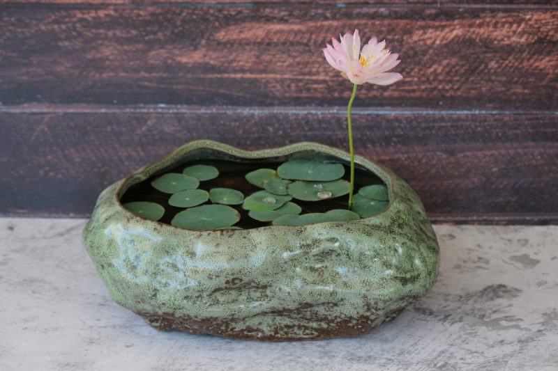 Transform Your Space with Lotus Pond Ceramic Pots